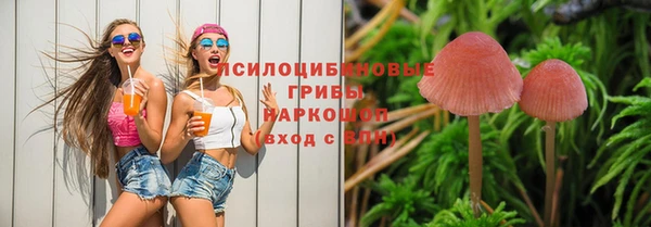 винт Нязепетровск