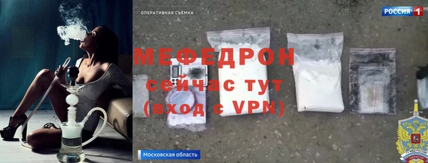 эйфоретик Няндома