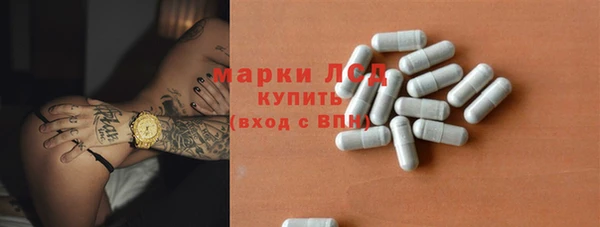 эйфоретик Няндома