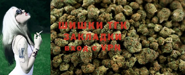 эйфоретик Няндома