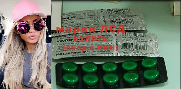 эйфоретик Няндома