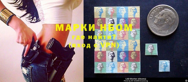 эйфоретик Няндома