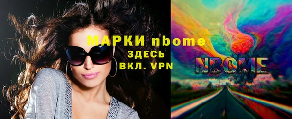 эйфоретик Няндома
