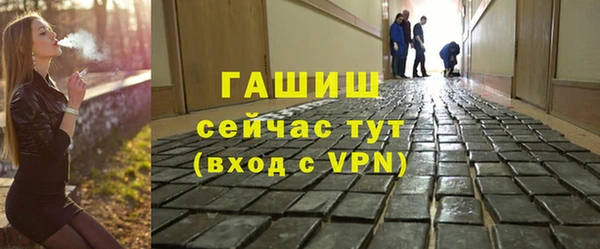 эйфоретик Няндома
