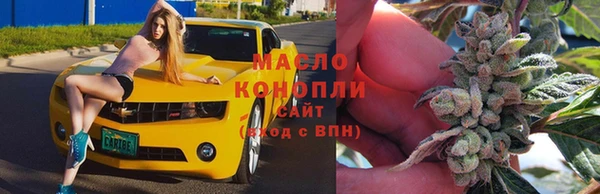 эйфоретик Няндома