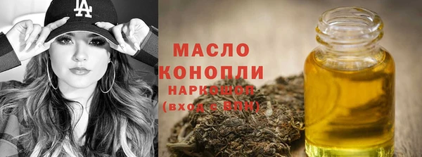 эйфоретик Няндома