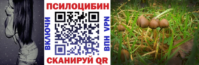 Галлюциногенные грибы GOLDEN TEACHER  где купить   Алдан 