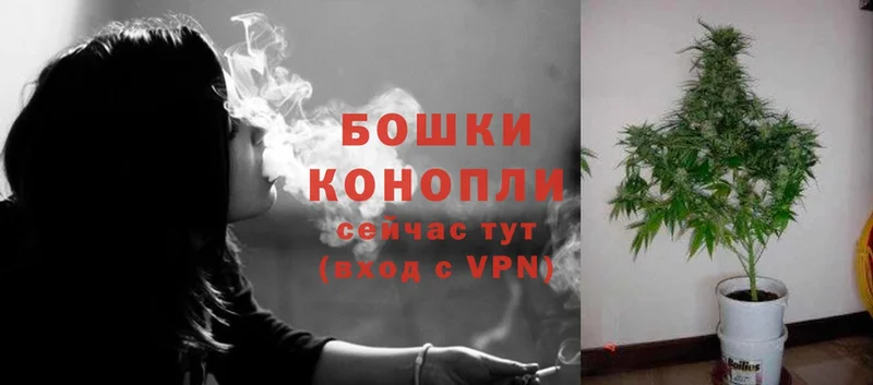 Бошки марихуана Ganja  Алдан 